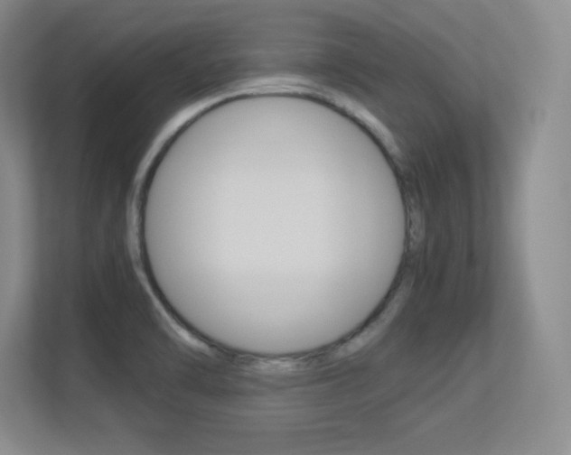 X0000113371470200909151017