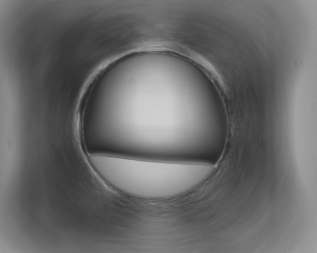 X0000113371472200909151017