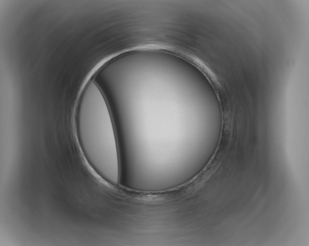 X0000113371476200909151017