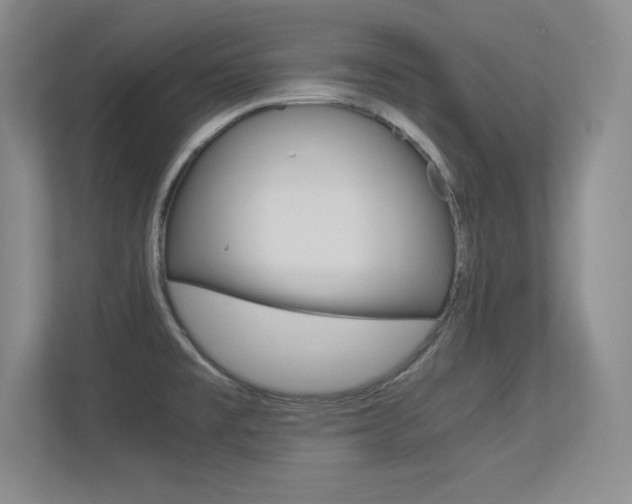 X0000113371477200909151017