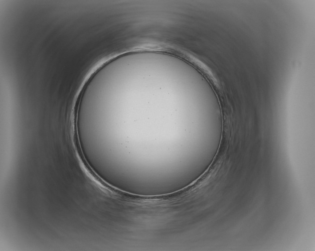 X0000113371479200909151017