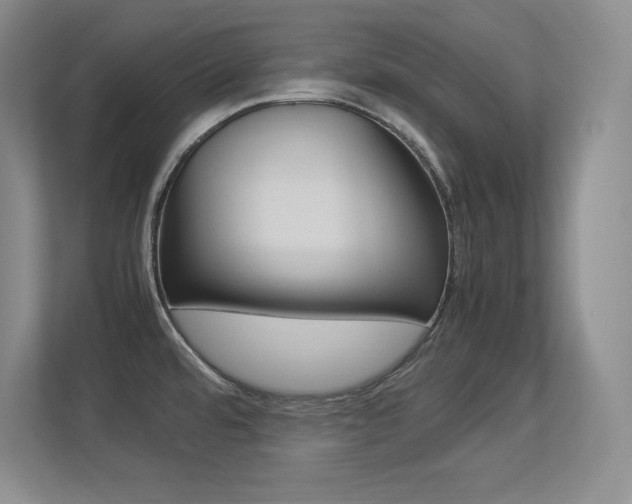 X0000113371480200909151017
