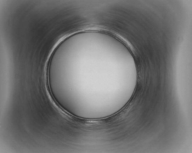 X0000113371483200909151017