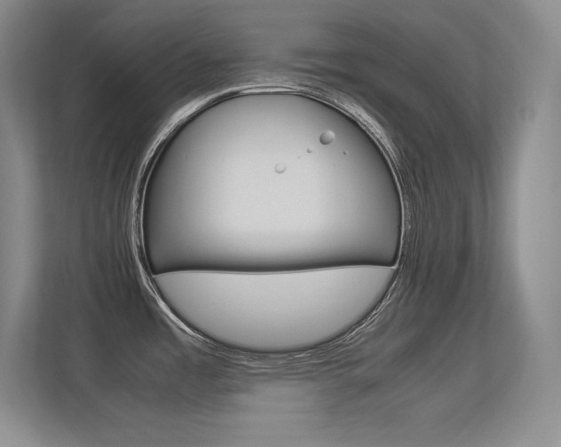 X0000113371485200909151017