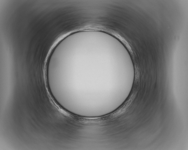 X0000113371486200909151017