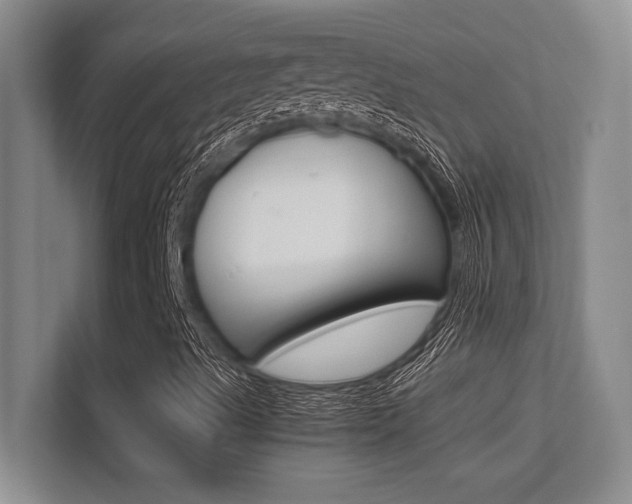 X0000113371489200909151016