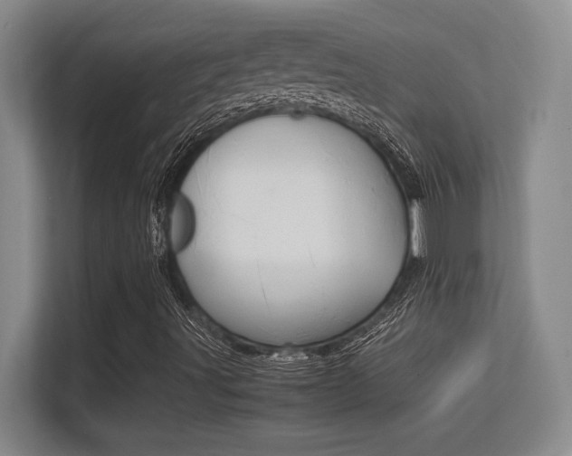 X0000113371491200909151016