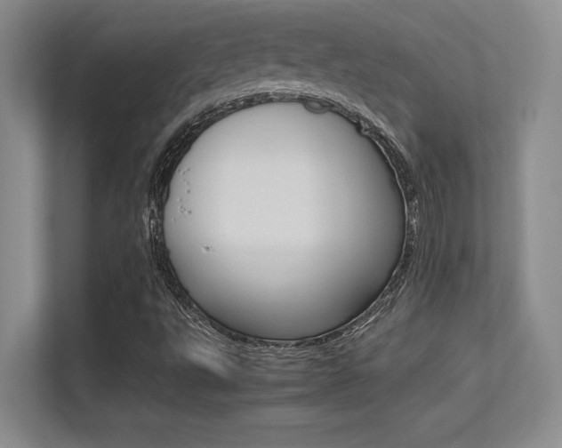 X0000113371495200909151016