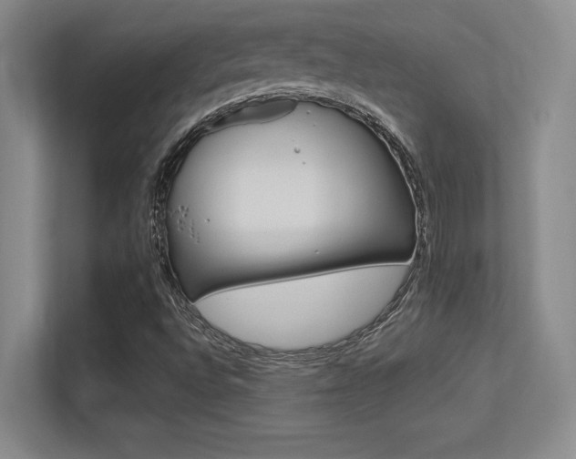 X0000113371496200909151016