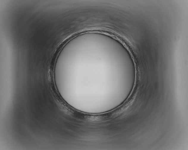 X0000113371497200909151016