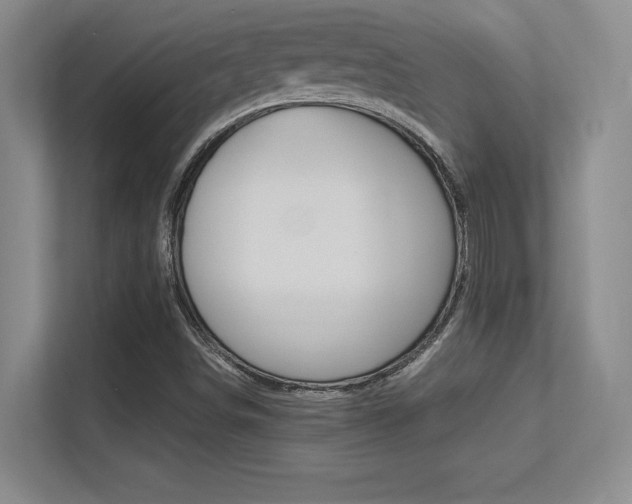 X0000113371498200909151016