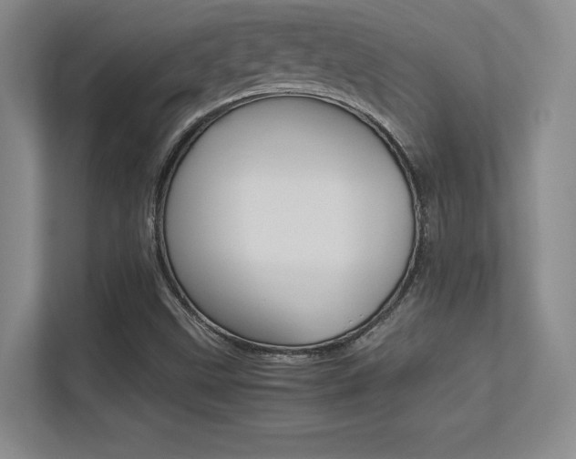 X0000113371499200909151016