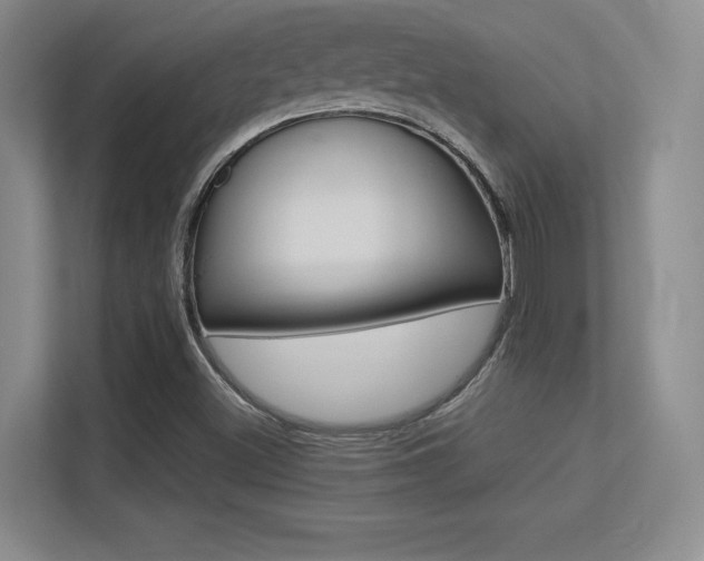X0000113371500200909151016