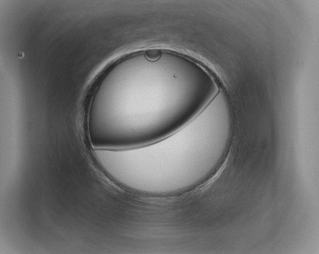 X0000113371502200909151016