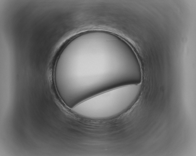 X0000113371503200909151016