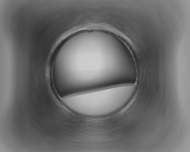 X0000113371506200909151016