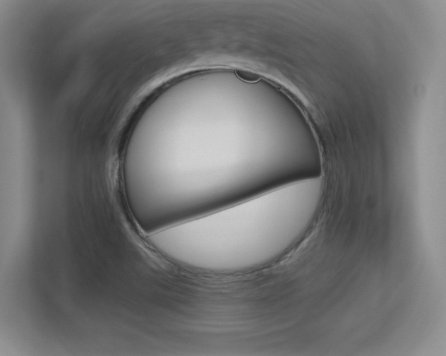 X0000113371507200909151016