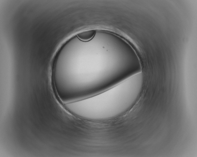 X0000113371508200909151016
