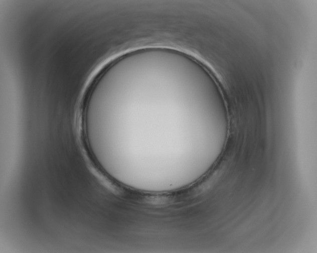 X0000113371511200909151016