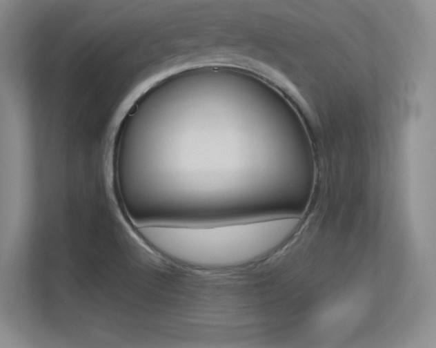 X0000113371512200909151016