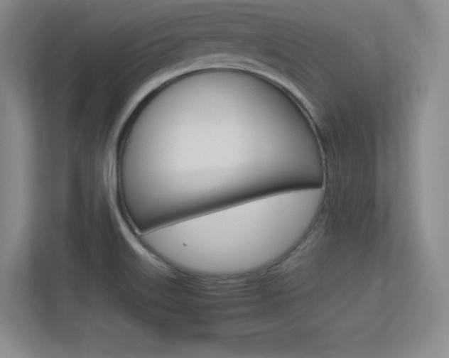 X0000113371515200909151016