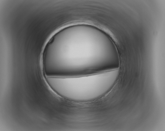 X0000113371516200909151016