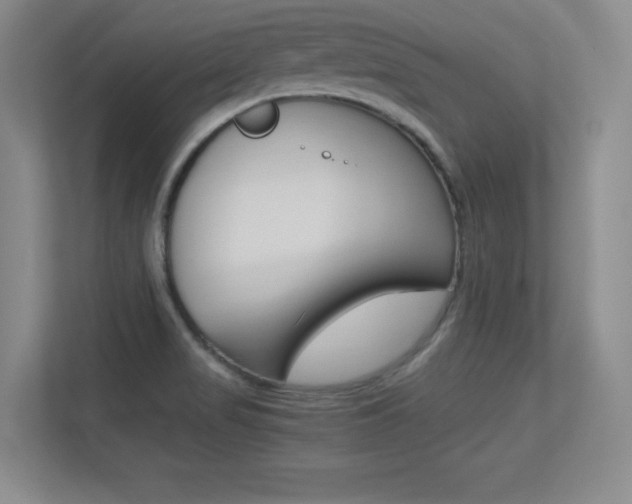 X0000113371517200909151016