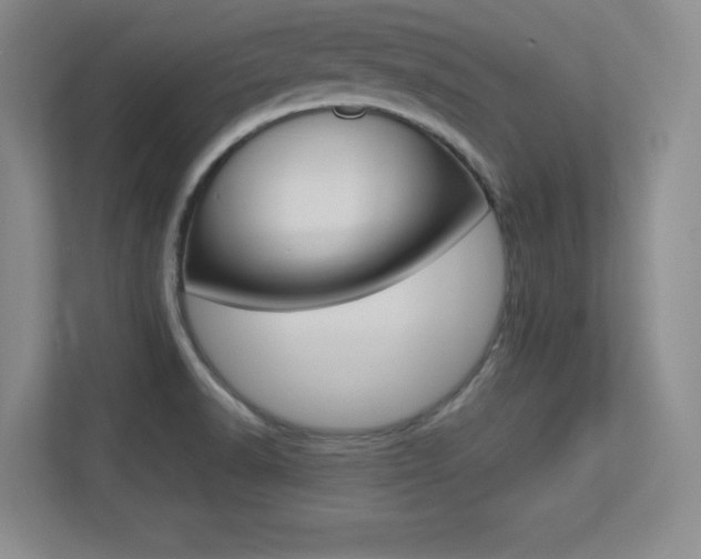 X0000113371518200909151016