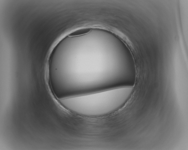 X0000113371520200909151016