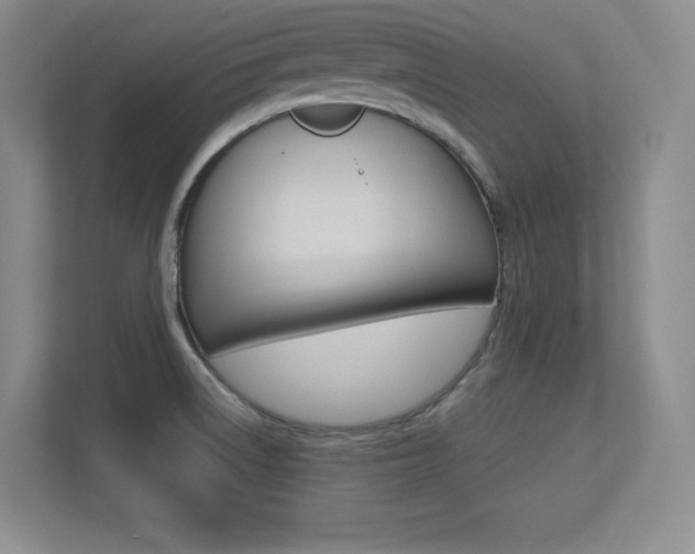 X0000113371522200909151016