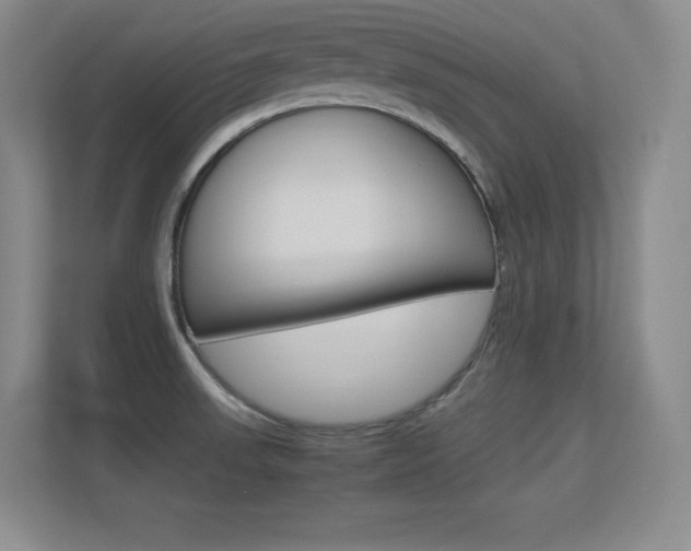 X0000113371523200909151016