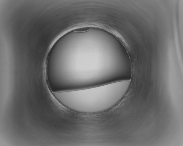 X0000113371524200909151016