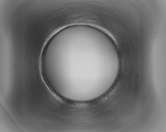 X0000113371525200909151016
