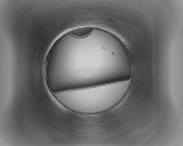 X0000113371526200909151016