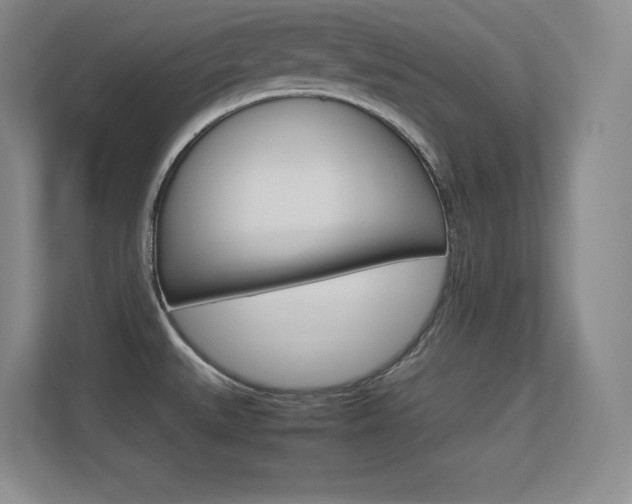 X0000113371527200909151016