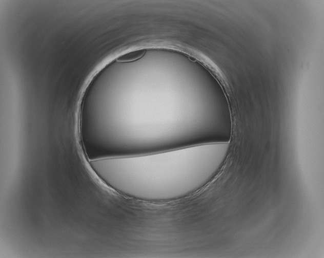 X0000113371528200909151016