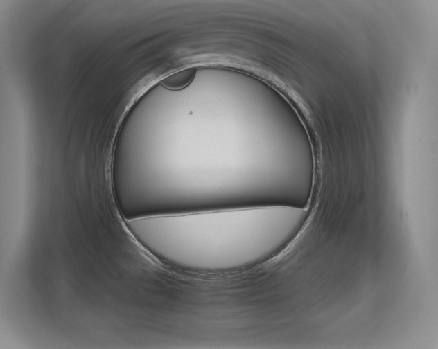 X0000113371529200909151016