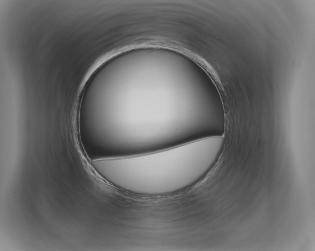 X0000113371530200909151016