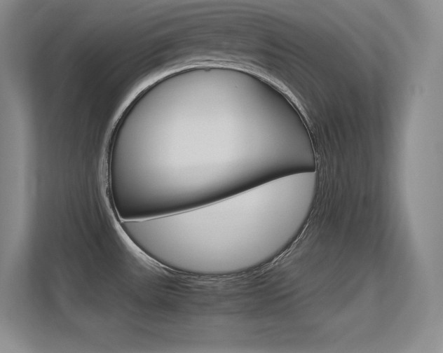 X0000113371531200909151016