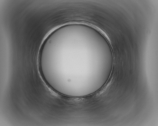 X0000113371533200909151016