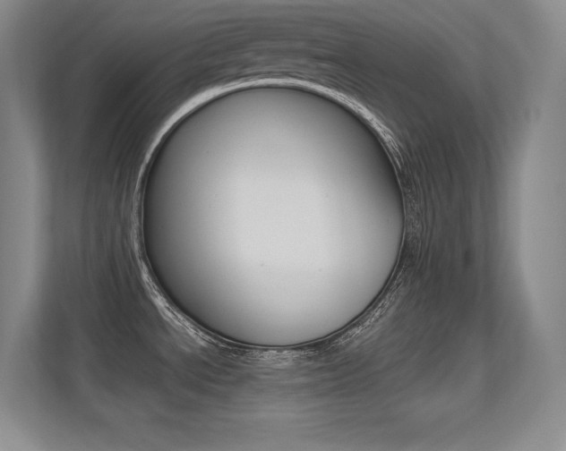 X0000113371534200909151016
