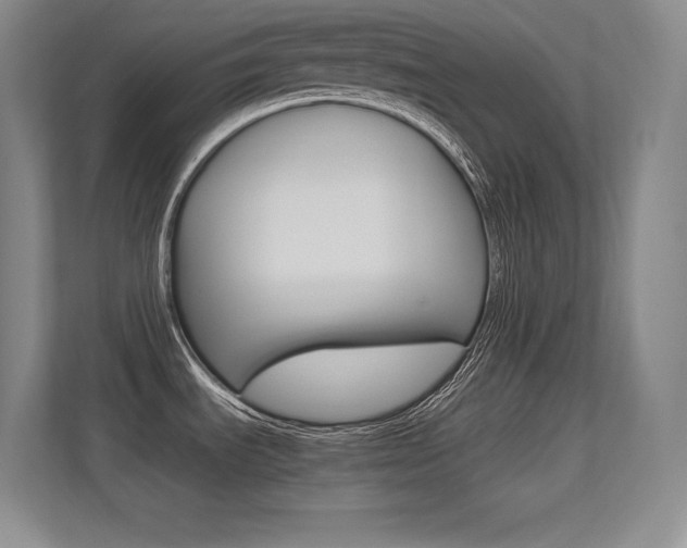 X0000113371535200909151016