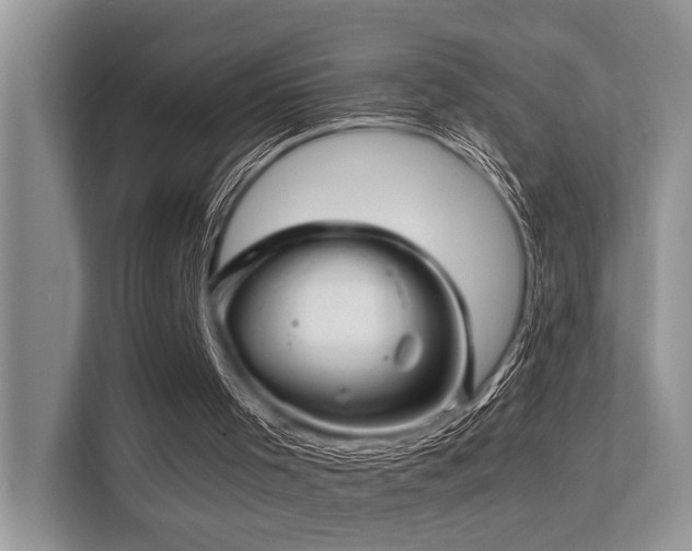 X0000113370001200909151409