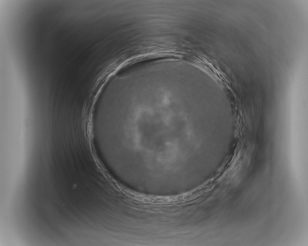 X0000113370002200909151409
