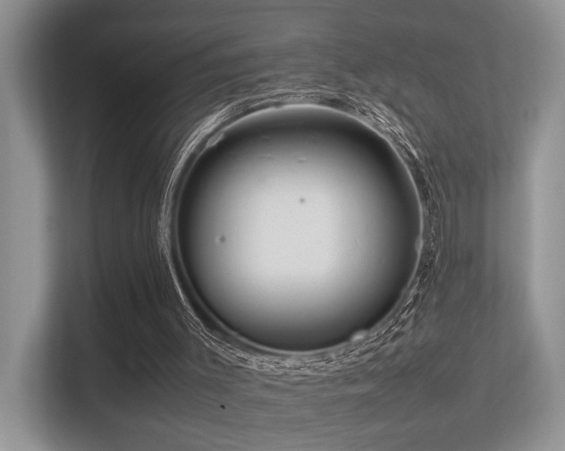 X0000113370003200909151409
