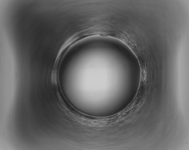 X0000113370004200909151409