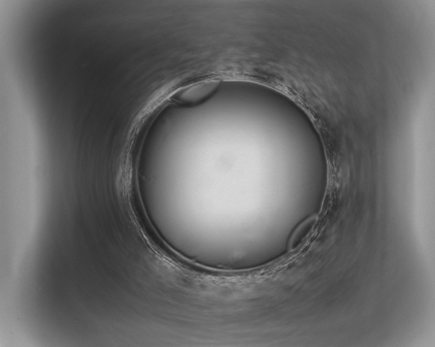 X0000113370005200909151409