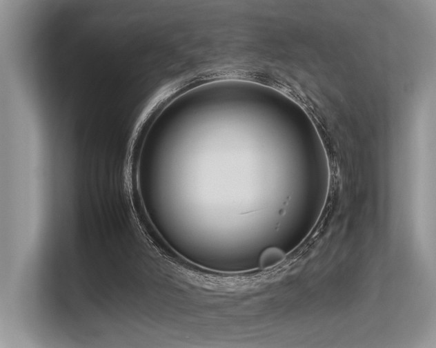 X0000113370006200909151409