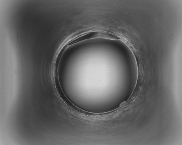 X0000113370007200909151409
