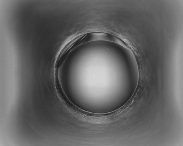 X0000113370008200909151409